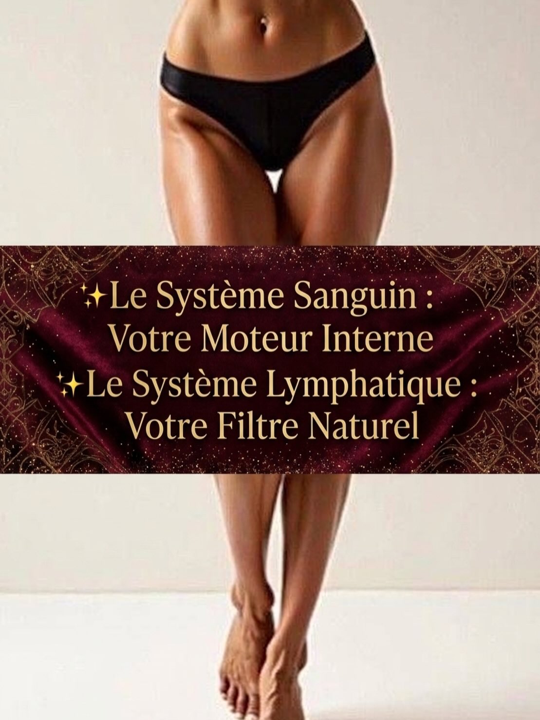 Représentation système sanguin et lymphatique circulation corps santé bien-être
